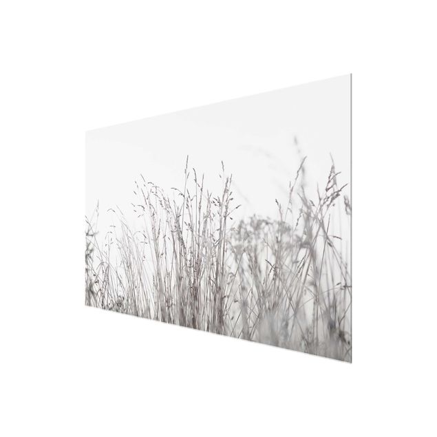 quadro de vidro Winter Grasses