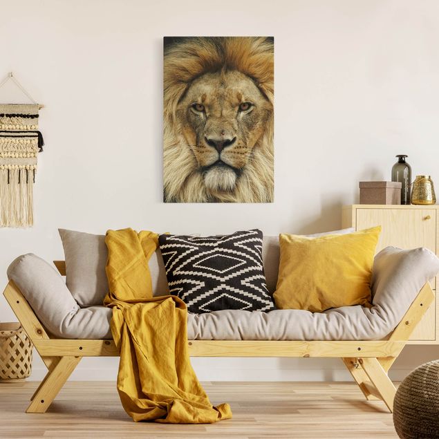 Telas decorativas gatos Wisdom of Lion