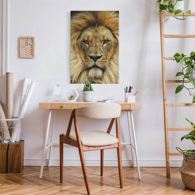 Quadros leões Wisdom of Lion