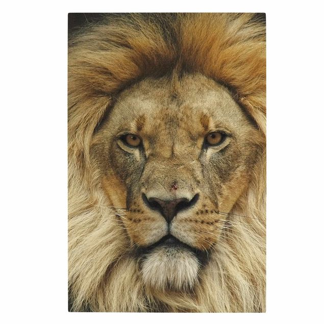 Telas decorativas animais Wisdom of Lion