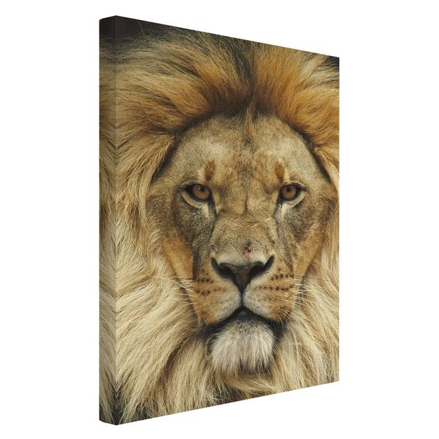 quadros modernos para quarto de casal Wisdom of Lion