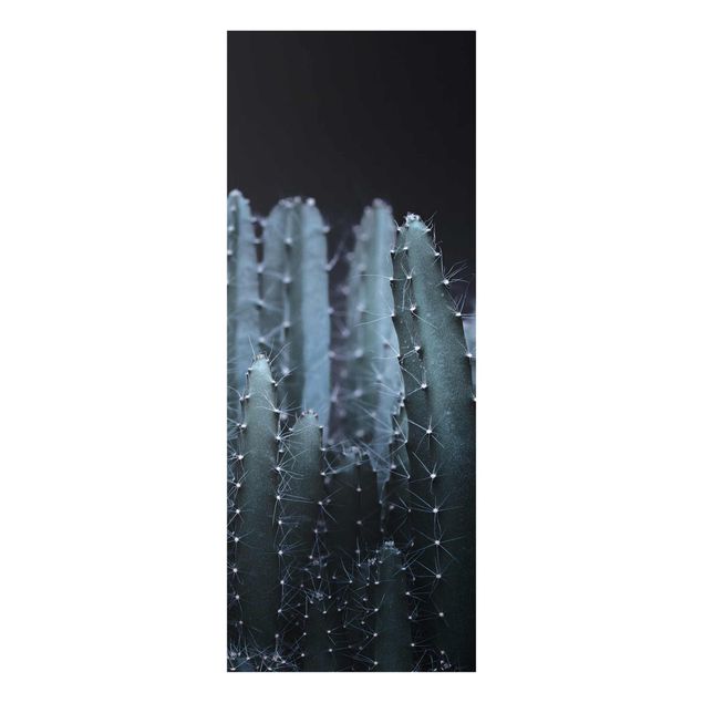 Quadros pretos Desert Cactus At Night