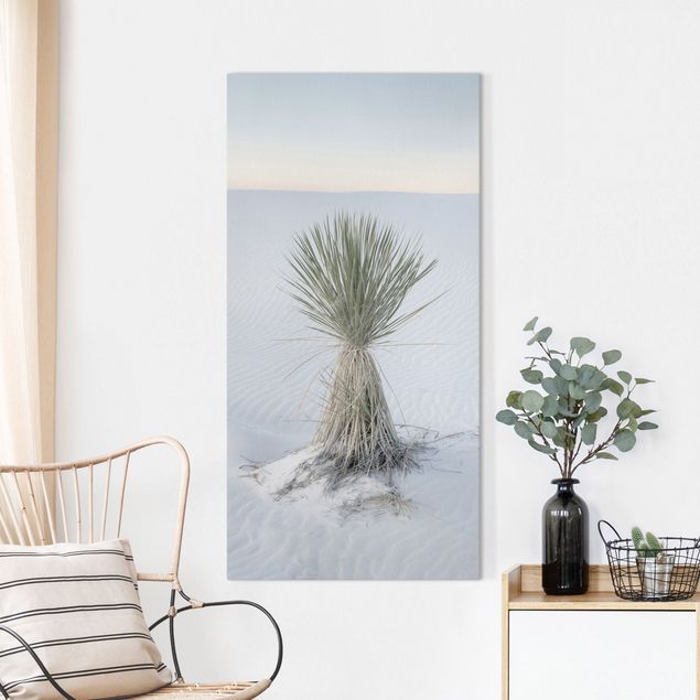 Telas decorativas dunas Yucca palm in white sand