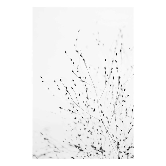 quadros preto e branco para decoração Soft Grasses In Shadow
