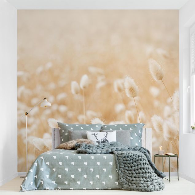 papel parede de flor Delicate Grasses