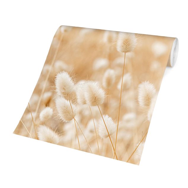 papel parede bege Delicate Grasses