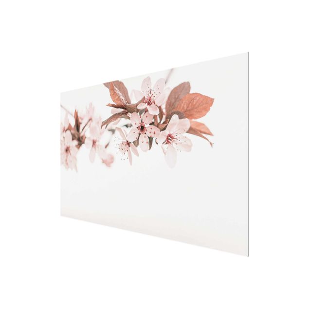 quadros para parede Delicate Cherry Blossoms On A Twig