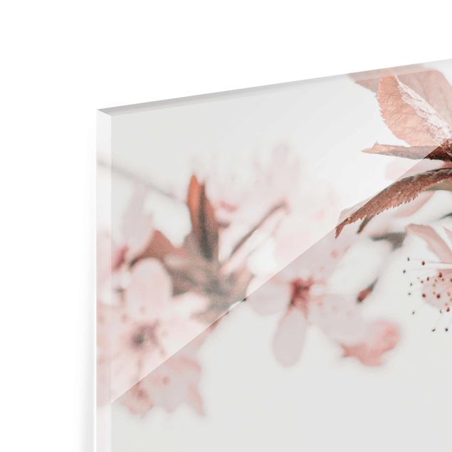 quadro em vidro Delicate Cherry Blossoms On A Twig