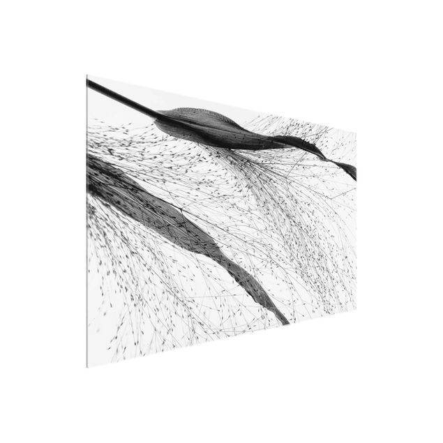 Quadros florais Delicate Reed With Subtle Buds Black And White