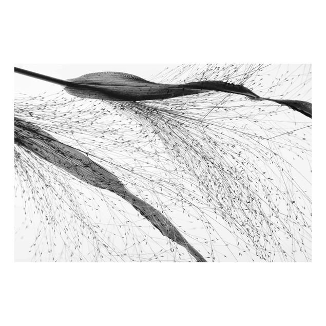 quadros preto e branco para decoração Delicate Reed With Subtle Buds Black And White