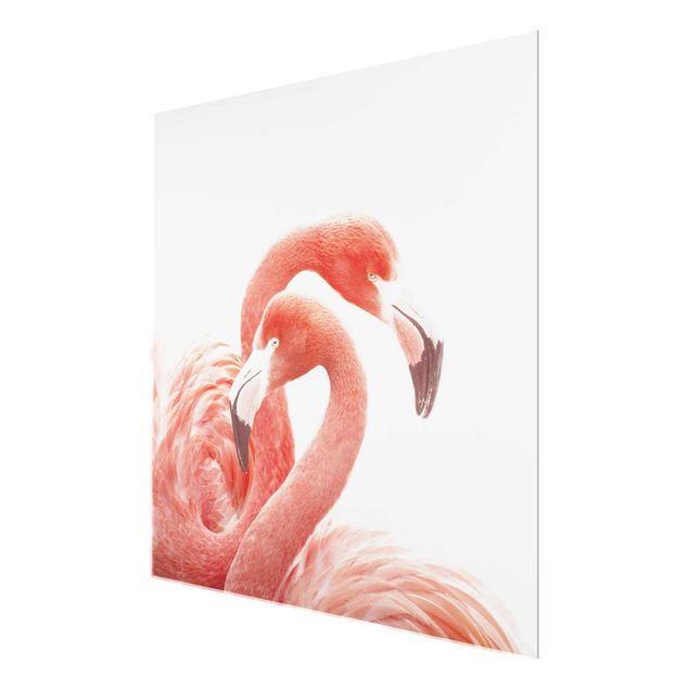 quadros para parede Two Flamingos