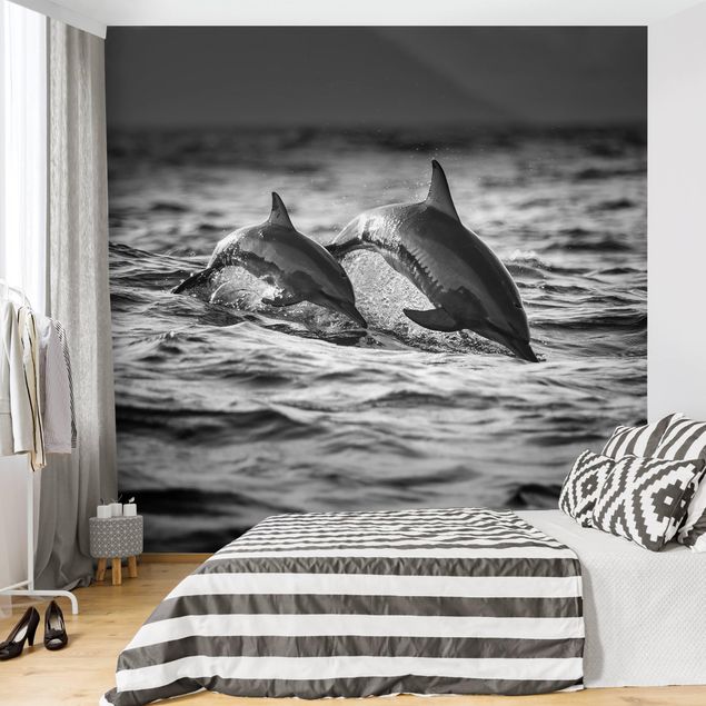 papel de parede moderno para sala Two Jumping Dolphins