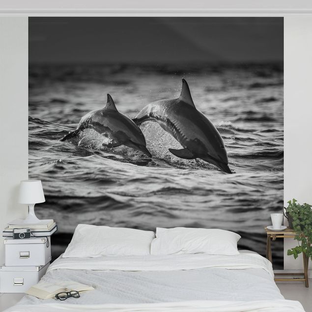 papel de parede branco e preto Two Jumping Dolphins