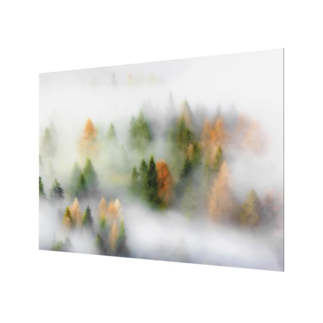Painel anti-salpicos de cozinha Cloud Forest In Autumn