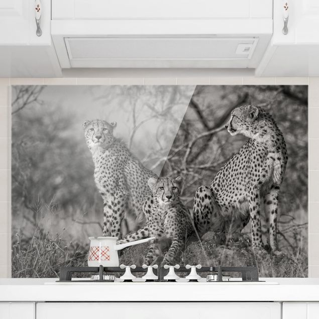 decoraçoes cozinha Three Cheetahs
