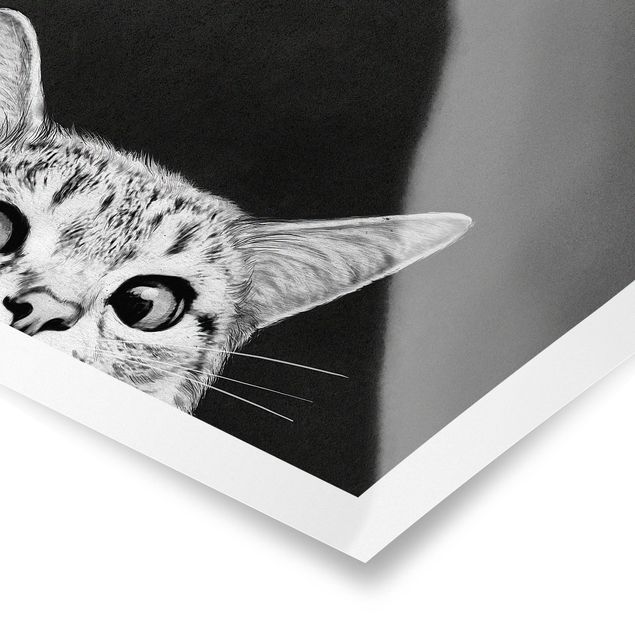 Posters animais Illustration Cat Black And White Drawing
