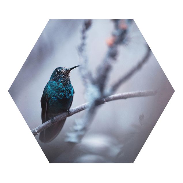 Quadros forex Hummingbird In Winter
