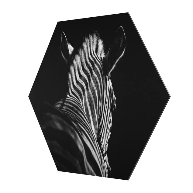 quadros para parede Dark Zebra Silhouette