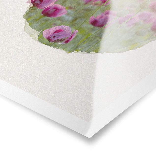 Quadros de Rainer Mirau WaterColours - Violet Poppy Flowers Meadow In Spring