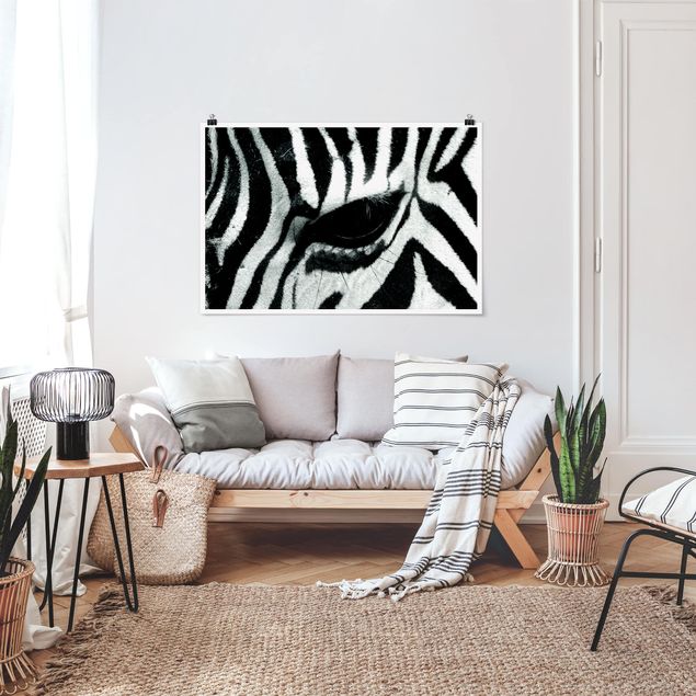 Posters em preto e branco Zebra Crossing