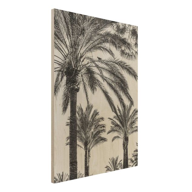 decoraçao para parede de cozinha Palm Trees At Sunset Black And White