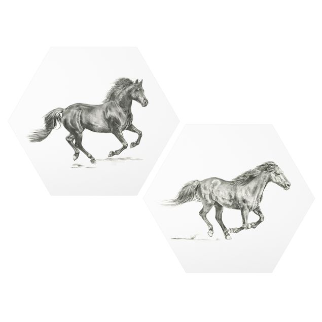 Quadros modernos Wild Horse Study Set I