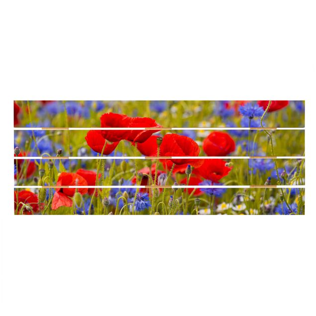 quadros para parede Summer Meadow With Poppies And Cornflowers