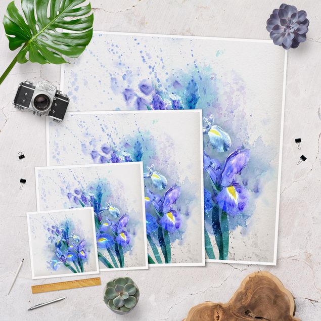 poster decoração Watercolour Flowers Iris