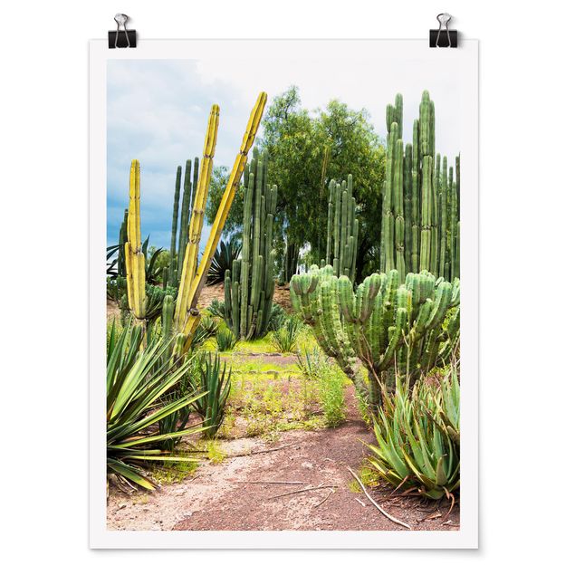 Quadros florais Cactus Landscape