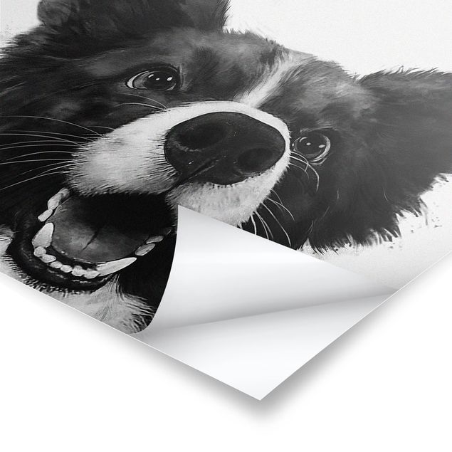 Quadros de Laura Graves Art Illustration Dog Border Collie Black And White Painting