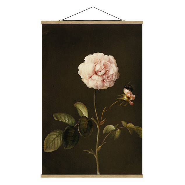 quadros de flores Barbara Regina Dietzsch - French Rose With Bumblbee