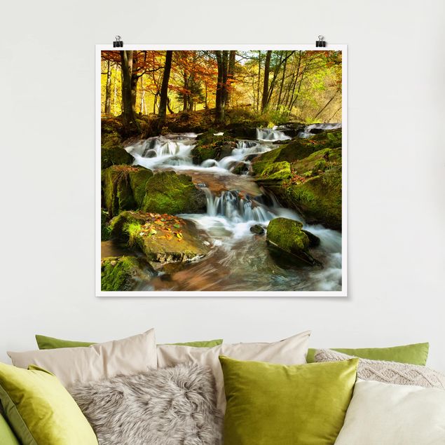quadro com árvore Waterfall Autumnal Forest