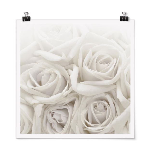 Quadros florais White Roses