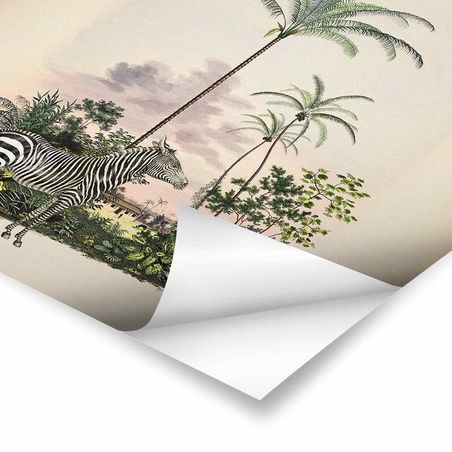 Quadros de Andrea Haase Zebra Front Of Palm Trees Illustration