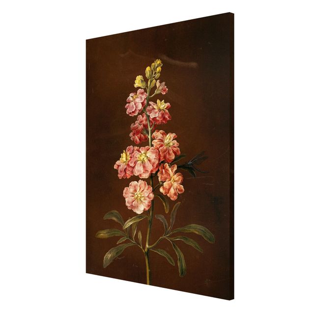 Quadros magnéticos flores Barbara Regina Dietzsch - A Light Pink Gillyflower