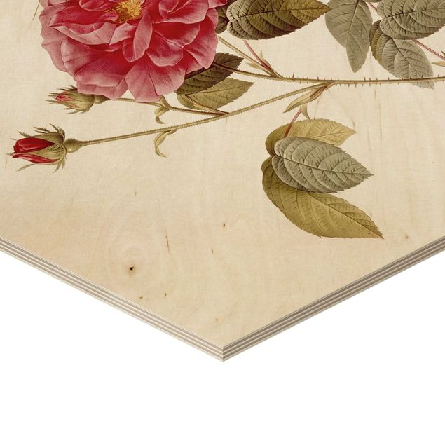 Quadros em madeira Pierre Joseph Redouté - Roses