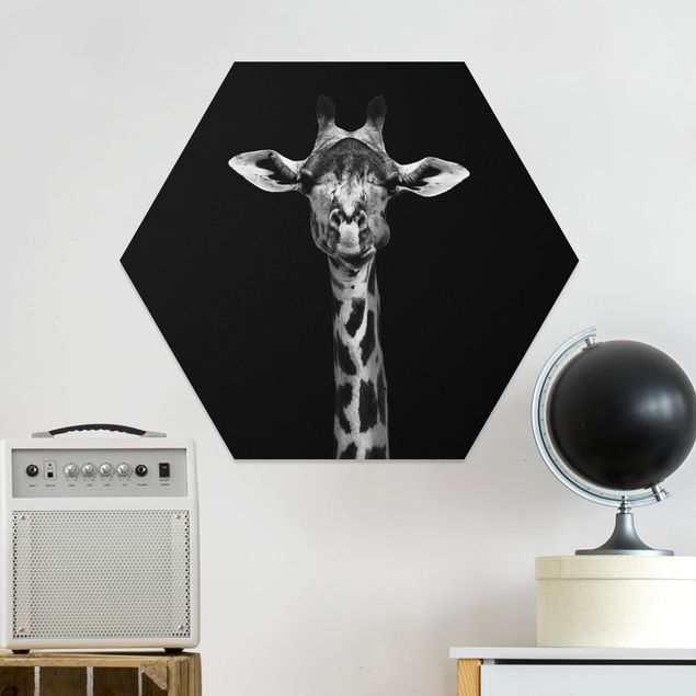 Quadros girafas Dark Giraffe Portrait