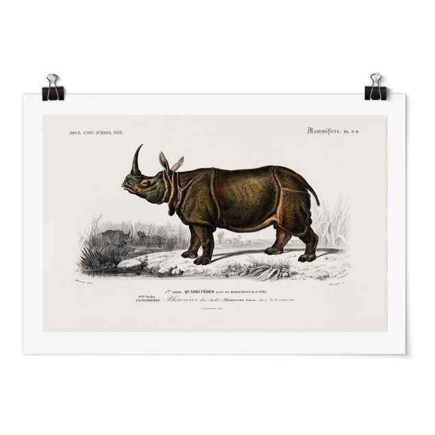 Posters animais Vintage Board Rhino
