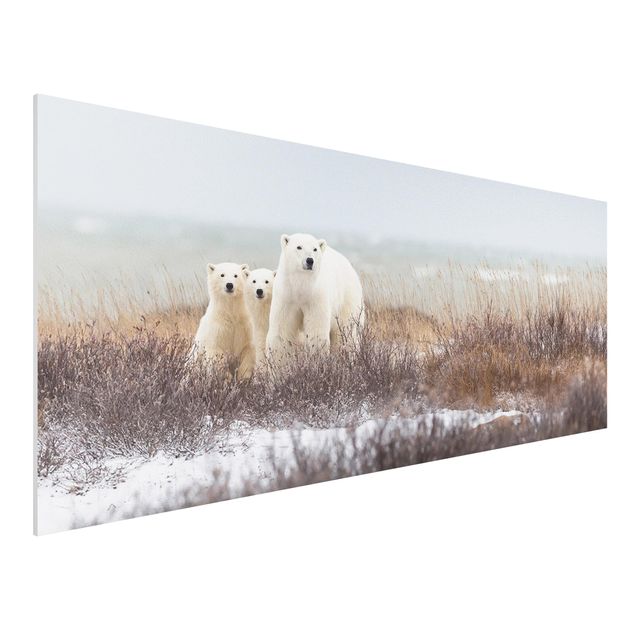 Quadros ursos Polar Bear And Her Cubs