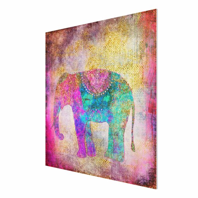 Quadros famosos Colourful Collage - Indian Elephant