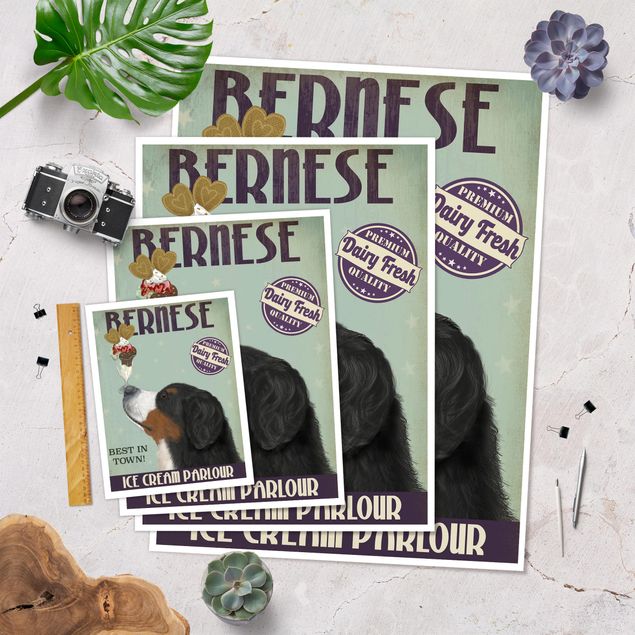 posters decorativos Bernese Mountain Dog With Ice