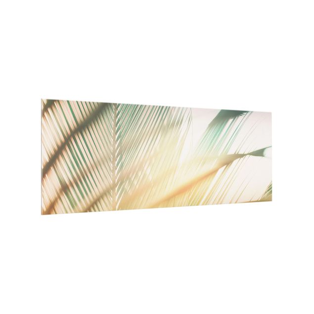 painéis antisalpicos Tropical Plants Palms At Sunset II