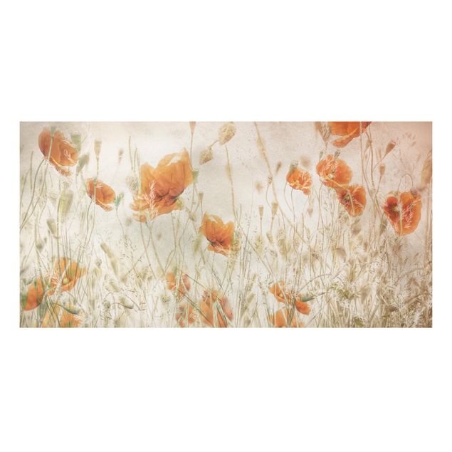 decoraçao para parede de cozinha Poppy Flowers And Grasses In A Field