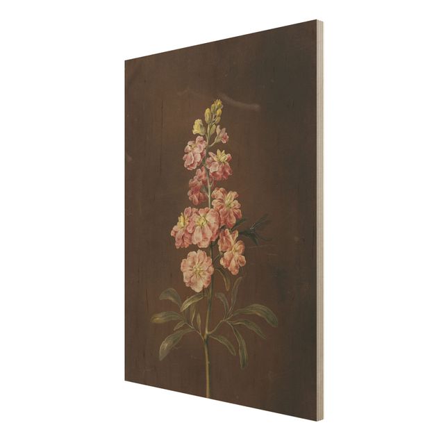 Quadros em madeira flores Barbara Regina Dietzsch - A Light Pink Gillyflower
