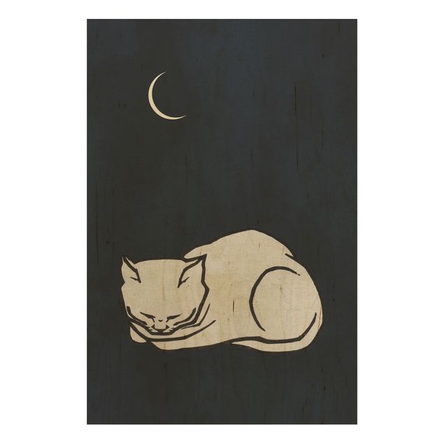 decoração quadros Sleeping Cat Illustration