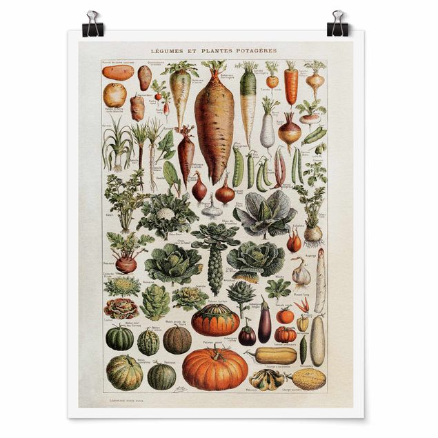 Quadros florais Vintage Board Vegetables