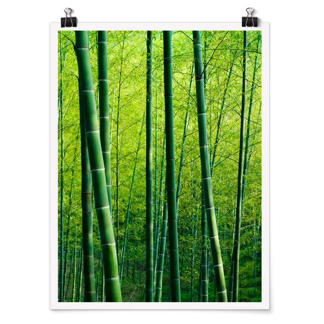 quadros de paisagens Bamboo Forest