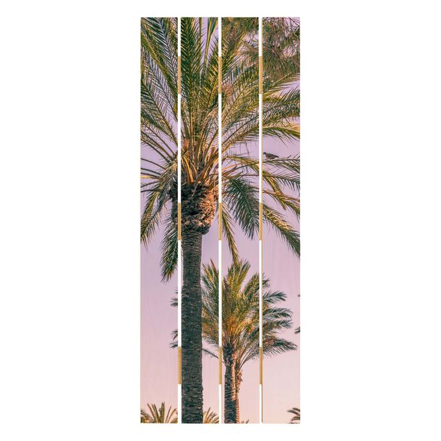 Quadros de Uwe Merkel Palm Trees At Sunset