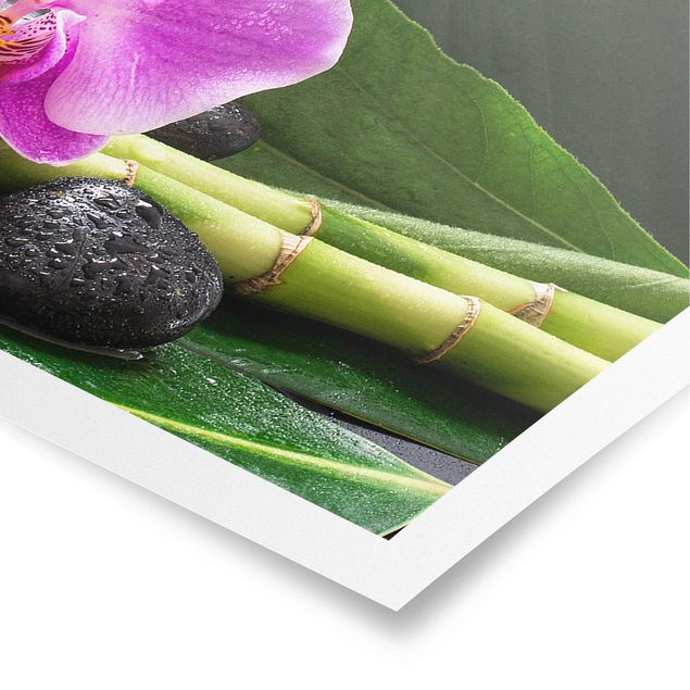 Posters flores Green Bamboo With Orchid Flower