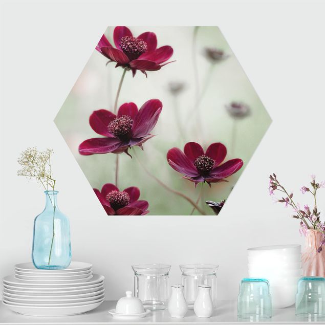 decoraçao para parede de cozinha Pink Cosmos Flower